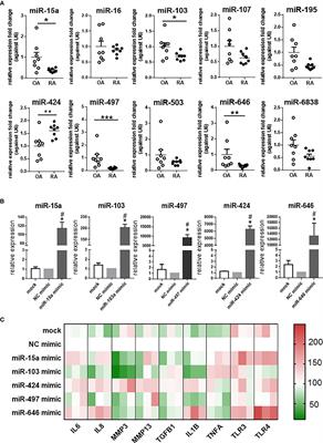 MicroRNA-497 Reduction and Increase of Its Family Member MicroRNA-424 Lead to Dysregulation of Multiple Inflammation Related Genes in Synovial Fibroblasts With Rheumatoid Arthritis
